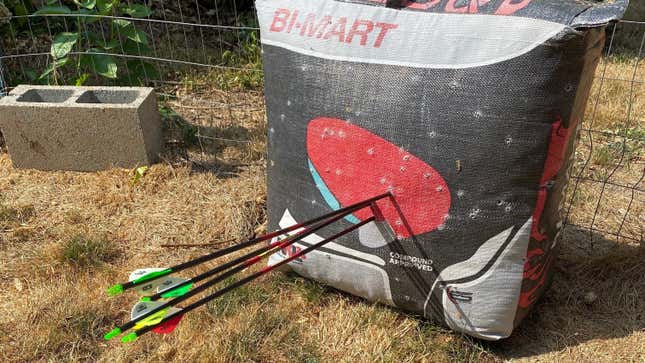 archery target