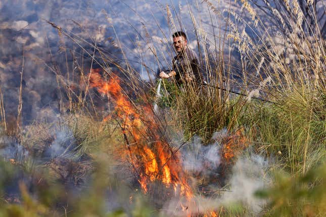 A member of anti-forest fire team puts out flames burning in Capaci, near Palermo, in Sicily, southern Italy, on July 26, 2023.