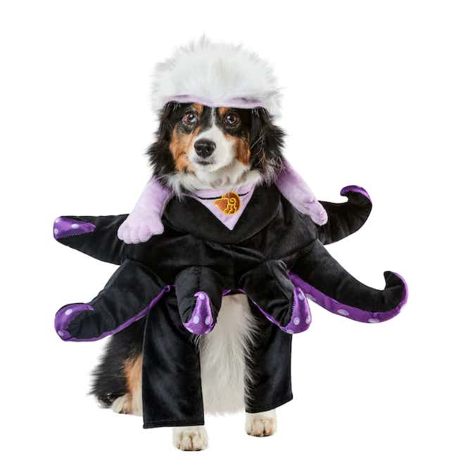 ursula dog costume