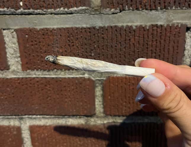 Image for article titled The Differences Between Joints, Blunts, and Spliffs