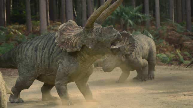 Triceratops.