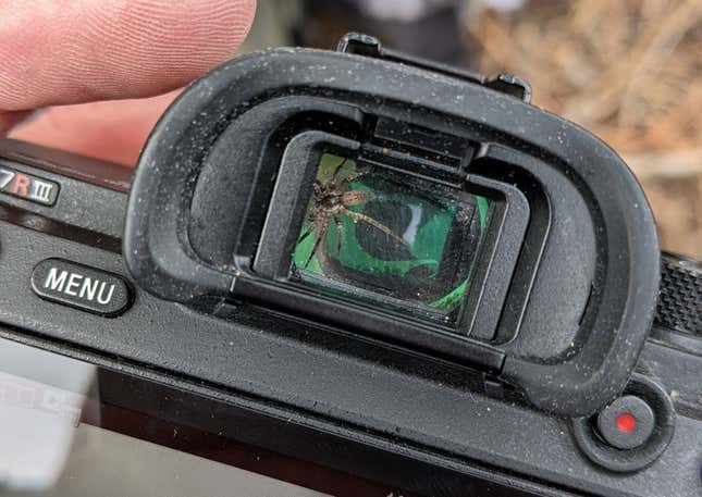 Imagen para el artículo titulado Un fotógrafo encuentra una araña viviendo en el visor de su cámara