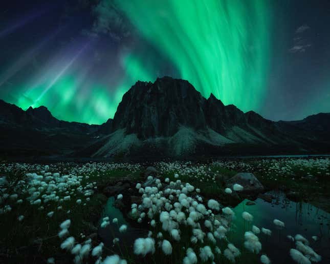 A deep green sweep of the Northern Lights.