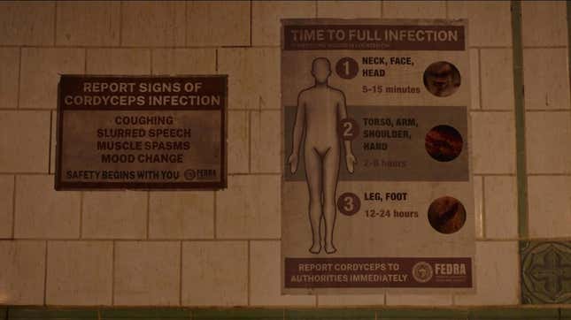 Signs on a wall indicate how quickly infection spreads after a bite.