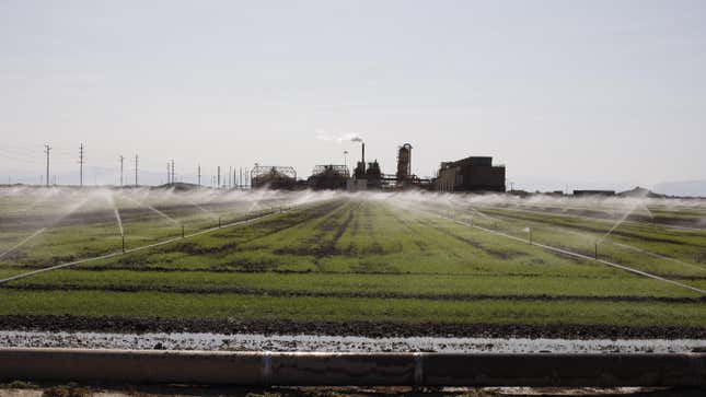 A sprinkler system sprays crops with water from an irrigation canal set in Imperial Valley, an agricultural area that traditionally uses water from the Colorado River.