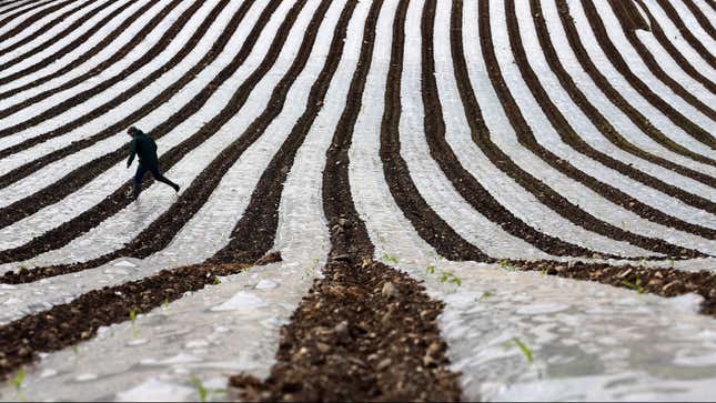 field with plastic