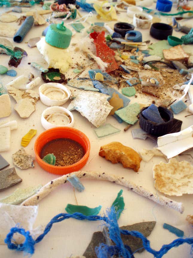 Microplastics that form as plastic trash deteriorates can foul waterways and accumulate in wildlife.