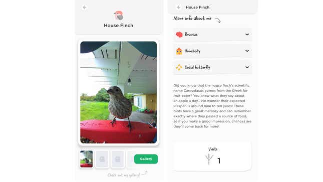 Screenshots of the bird buddy 