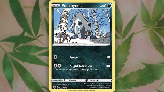 A blue and white dog-like creature named Poochyena features on a Pokémon card shown against a pot leaf background.