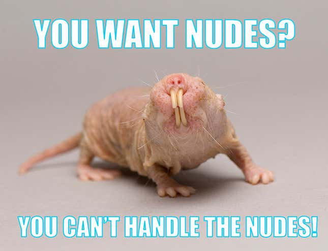 Canada Is Using The Naked Mole Rat To Protect Teens From Sexting With Strangers