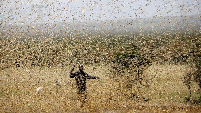 REUTERS / BAZ RATNER