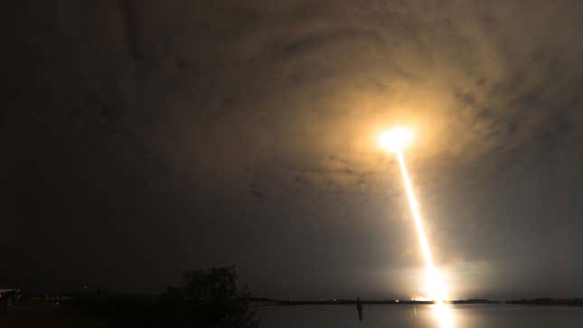 Imagen para el artículo titulado Empleados de SpaceX se sublevan contra Elon Musk y su comportamiento "vergonzoso" en Twitter