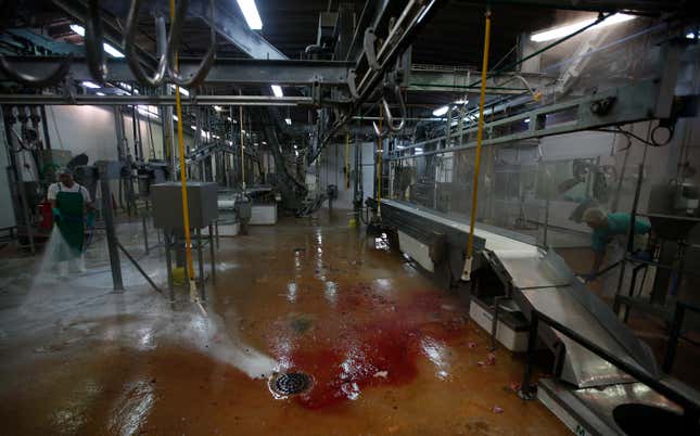 Employees clean an empty processing room at a slaughterhouse in Santarem, Portugal, in a picture taken October 10, 2013.