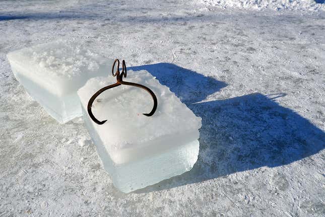 Harvesting ice today, using tools developed in Tudor’s era.