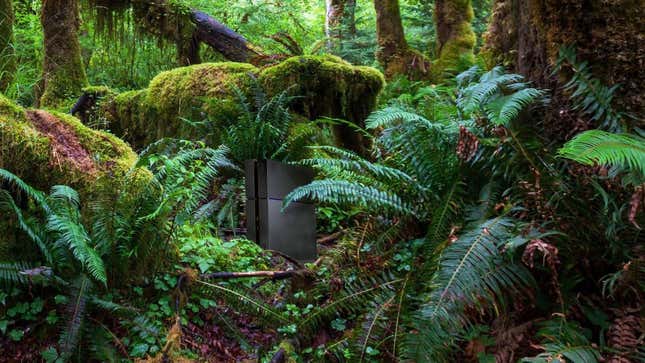 Image for article titled Environmentalism Win: For Every PS5 Sold, Sony Will Plant A PS4 In The Amazon Rainforest