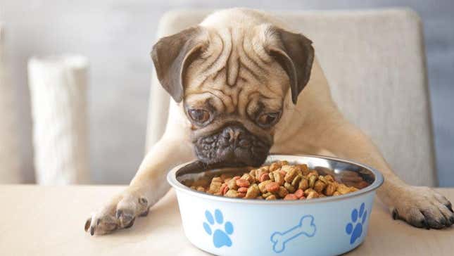 Image for article titled The Future of Pet Food Might Be Meatless
