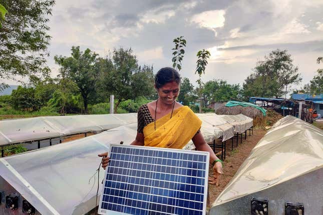 A woman at the solar dryer unit in Anantapur district of Andhra Pradesh