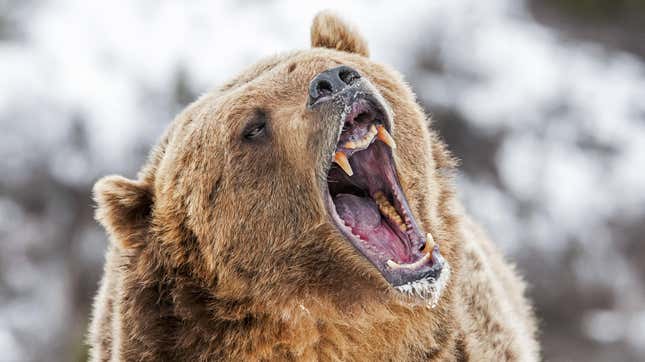 Image for article titled 8 of the Most Consequential Bear Markets in U.S. History (and What We Can Learn From Them)