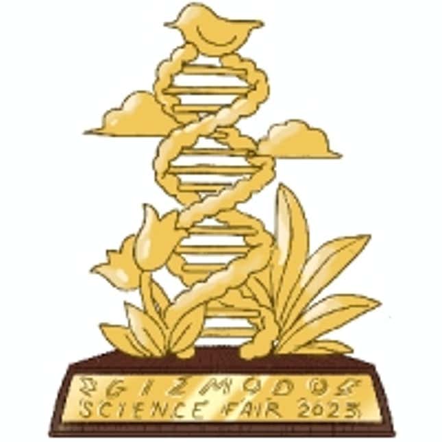 Image for article titled The Winners of the 2023 Gizmodo Science Fair