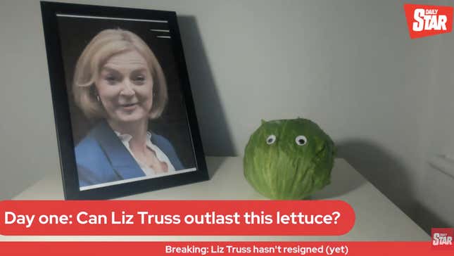 Image for article titled Will Liz Truss Still Be the U.K.&#39;s Prime Minister When This Head of Lettuce Goes Bad?