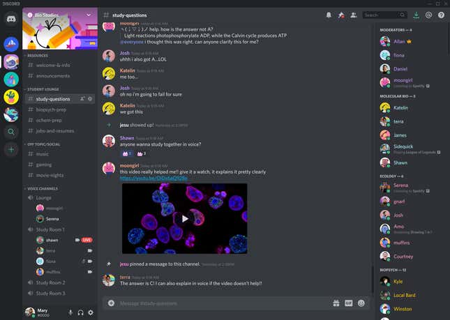 A Discord server