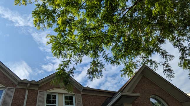 A sample shot from the Google Pixel Tablet's camera featuring a blue sky with clouds, part of a house's roof, and a large tree.