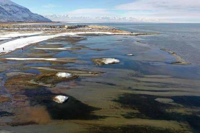 Imagen para el artículo titulado ¿Qué está causando estas formaciones geológicas en el Great Salt Lake?