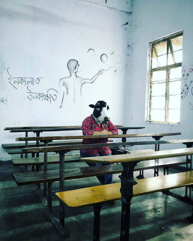 Image for article titled A striking photo project asks why India is better at protecting its cows than its women