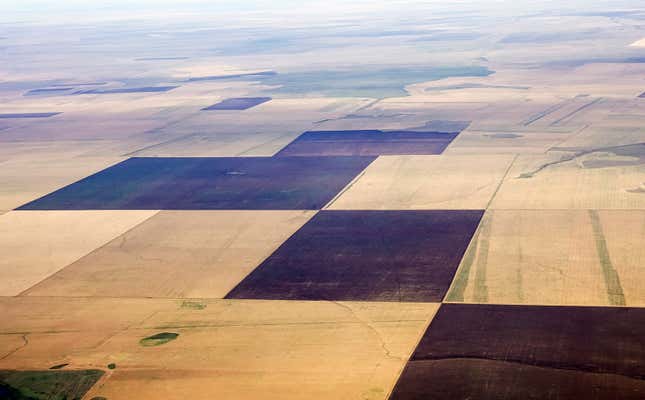 Image for article titled Aerial photos reveal the hypnotic geometry of farming