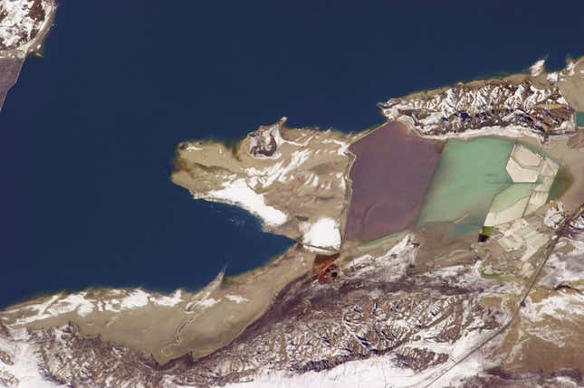 Salt from evaporation ponds at the Great Salt Lake, Utah, attracts pastel-colored algae, brine shrimp, birds… and this one lone wolf.