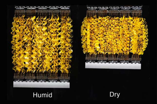 These artificial “arms” respond to changing humidity, and they power the evaporation engine by cyclically extending and contracting on the surface of water.