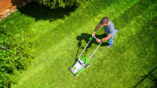 Image for article titled Fuck Lawns