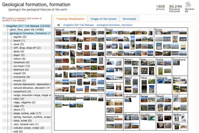A screenshot of the ImageNet database online