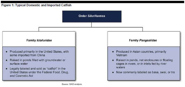 Image for article titled Americans’ catfish is going to be Made in the US once again and also more expensive