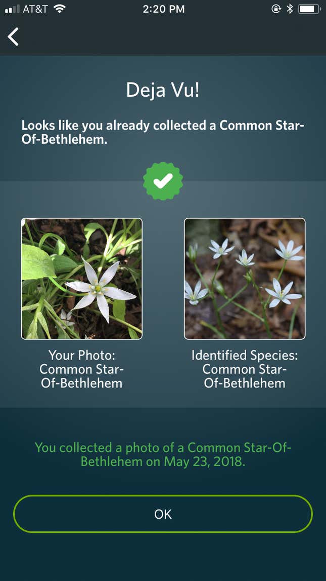 Image for article titled Three great nature apps for hiking, star gazing, and identifying wildlife