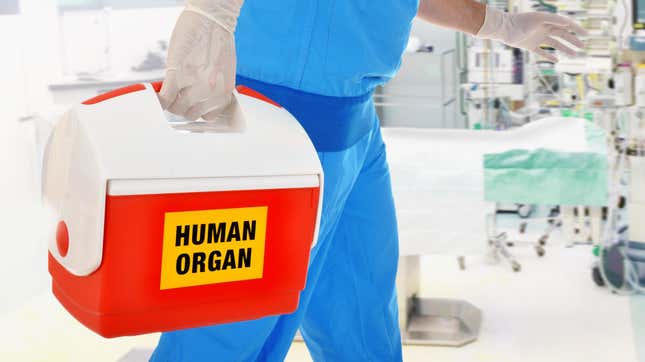 A doctor in blue scrubs carries a container labeled "human organ."