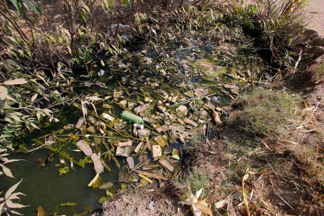 Trash floats in a drainage canal in Egypt's Nile Delta.