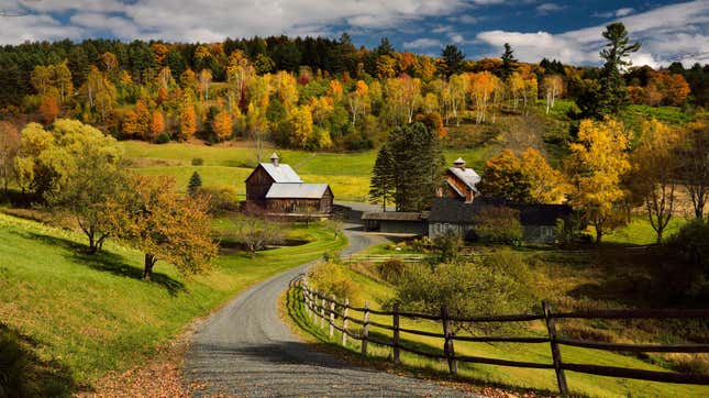 Bright Fall leaves around Sleepy Hollow Farm on Cloudland Road in Woodstock, Vermont.