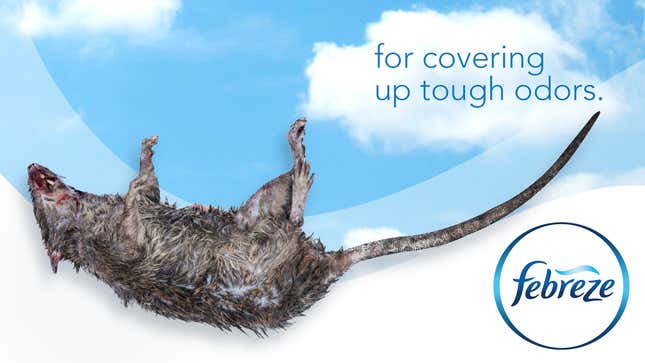 Image for article titled Febreze Introduces New Rotting Rat Carcass For Covering Up Tough Odors