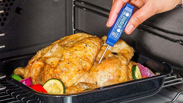 Comark PDT300 Meat Thermometer | $16 | Amazon