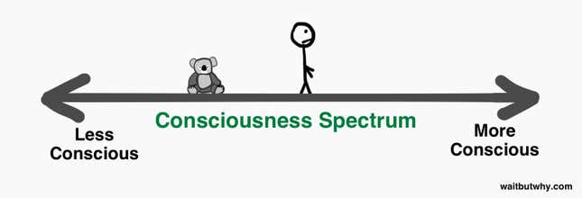 Image for article titled A step-by-step guide to a meaningful life for the “spiritual, but not religious”