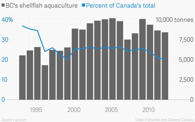 Image for article titled The world’s scallops and oysters are mysteriously dying out