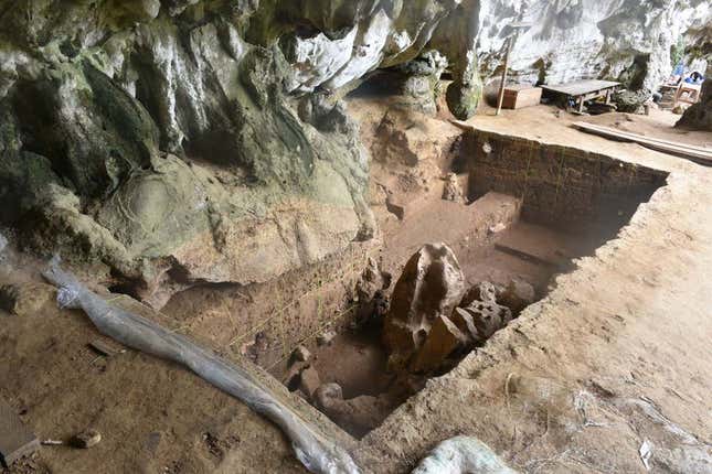 Una trinchera en el sitio de excavación en la cueva Leang Bulu Bettue, en Sulawesi