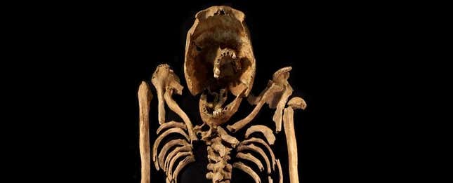 Imagen para el artículo titulado Un antiguo esqueleto encontrado en Inglaterra, segunda evidencia física de la crucifixión romana