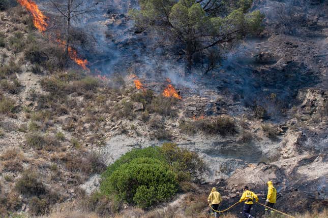 Vegetable area with fire affected by a new fire near the old landfill of Pont de Vilomara, on July 18, 2022, Barcelona, Catalonia (Spain).