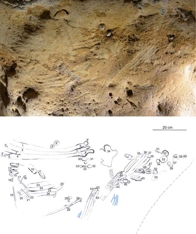 Finger fluting in the cave (top) and a graphic showing the number and shape of the markings.