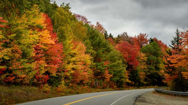 Colorful fall trees along a two-lane highway