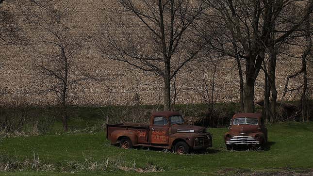 A photo of two rusting trucks in a field. 
