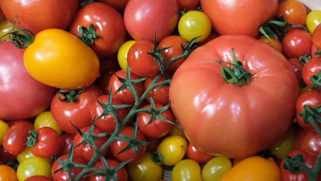 Imagen para el artículo titulado Científicos crean tomates con CRISPR para llenarlos de vitamina D