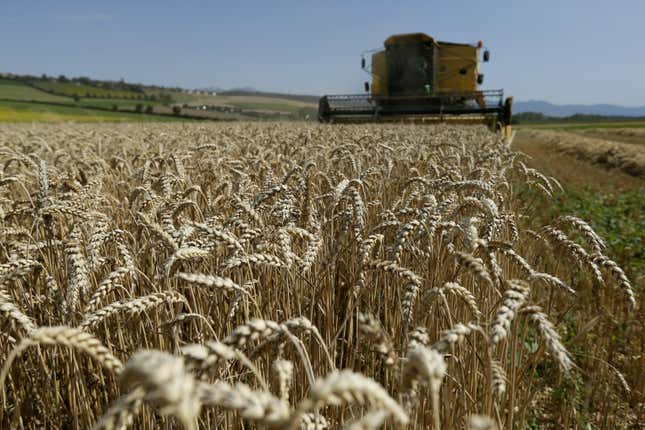 Organic farms aren’t necessarily better for the environment.